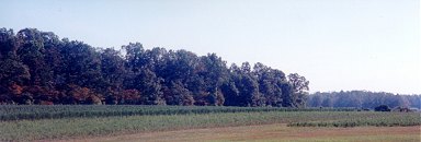 Circle J Tree Farm